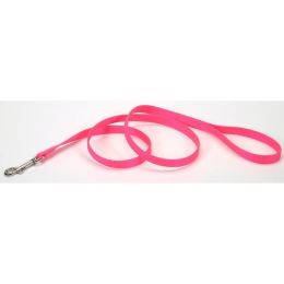 Coastal Single-Ply Nylon Dog Leash Neon Pink 5-8 in x 6 ft