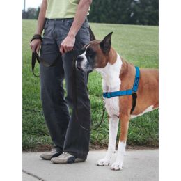 PetSafe Deluxe Easy Walk Steel Dog Harness Black/Ocean, 1ea/LG