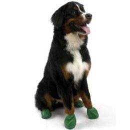 Pawz Dog Boots Extra Large Green